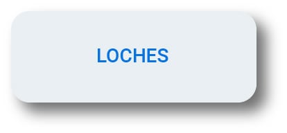 Loche